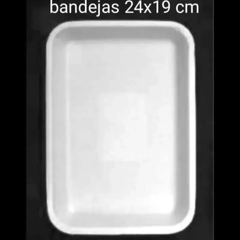 BANDEJA 24X17