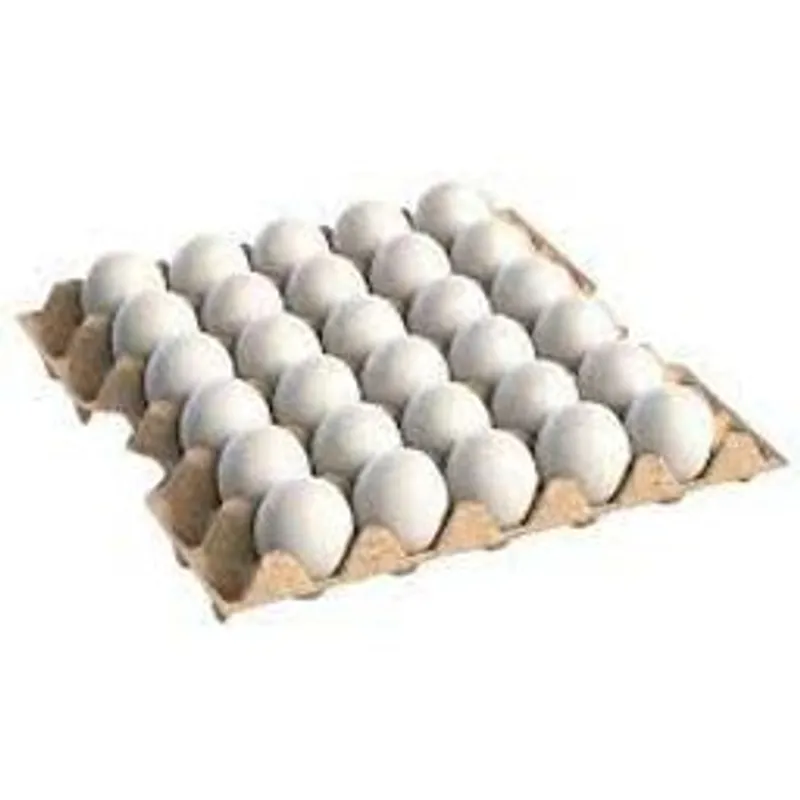 Cartón de Huevo (30 U)