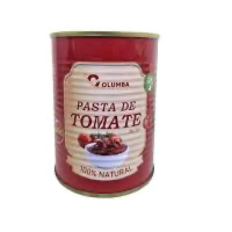 PASTA DE TOMATE 400 g
