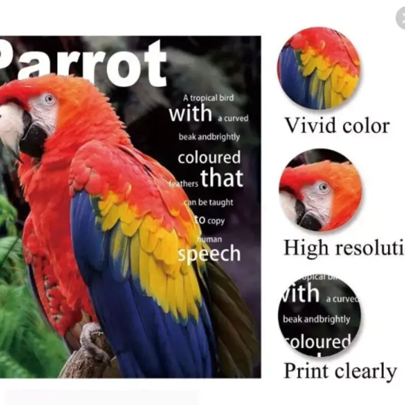 Papel fotográfico brillante 260g