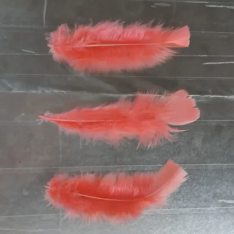 PLUMAS DECORATIVAS 13 - 20 UNIDADES