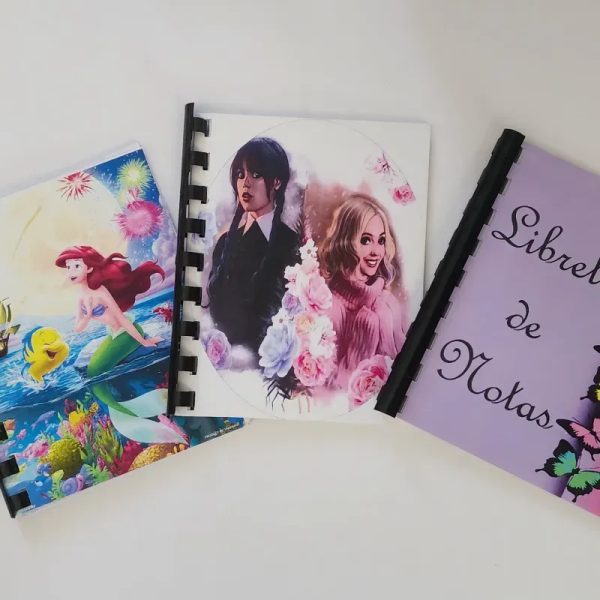 Libretas de notas