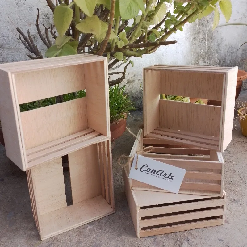 Caja organizadora pequeña