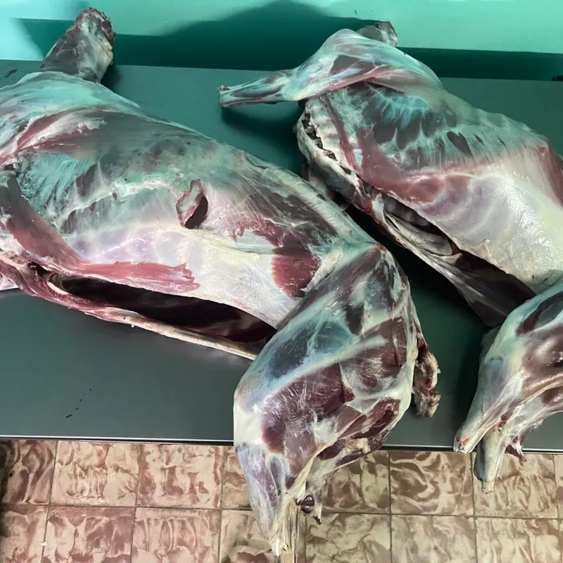 Ovejo entero limpio 19 lb