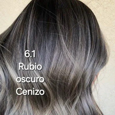 P>Tinte 6.1 "Color Lux"  100ml