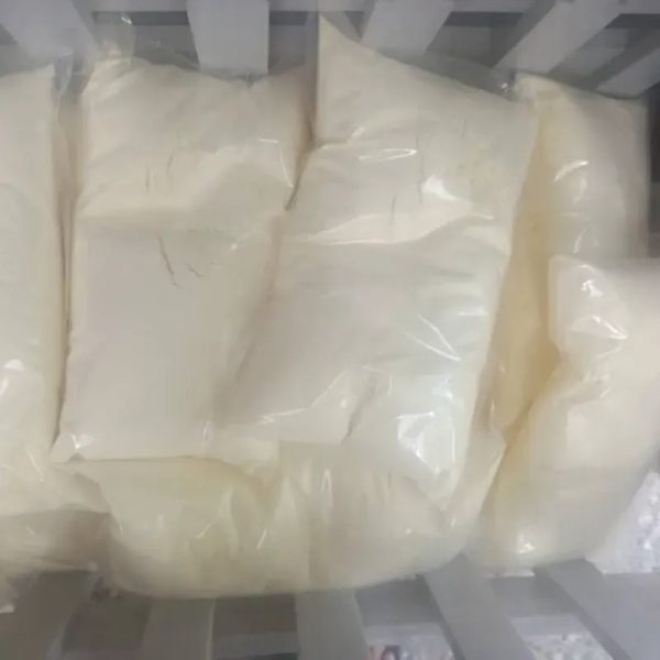 Leche entera en polvo