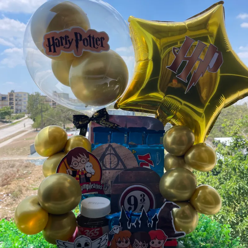 Decoración Harry Potter