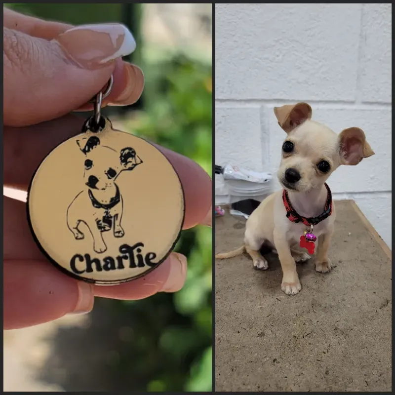 Medallas para mascotas