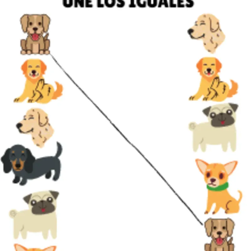  Actividades para la inteligencia - Parte 1 ✨