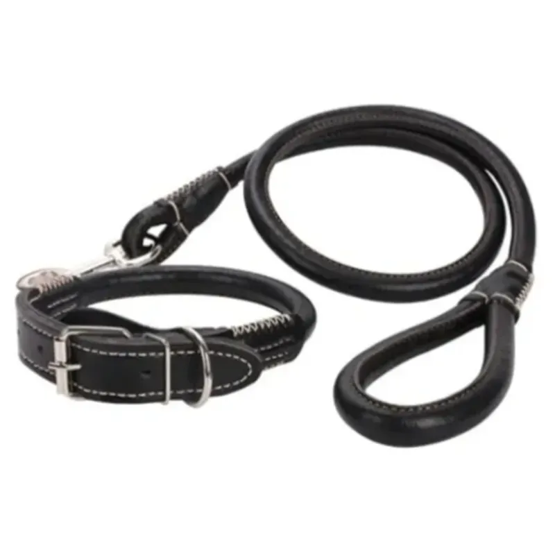 61021 Collar más correa para perros grandes