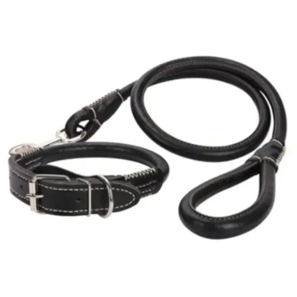61021 Collar más correa para perros grandes