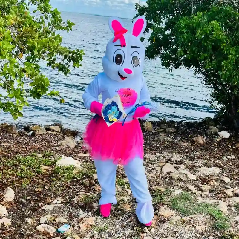 Animación de la conejita