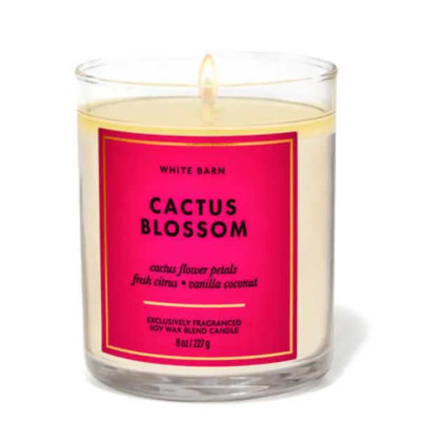 Vela Cactus Blossom