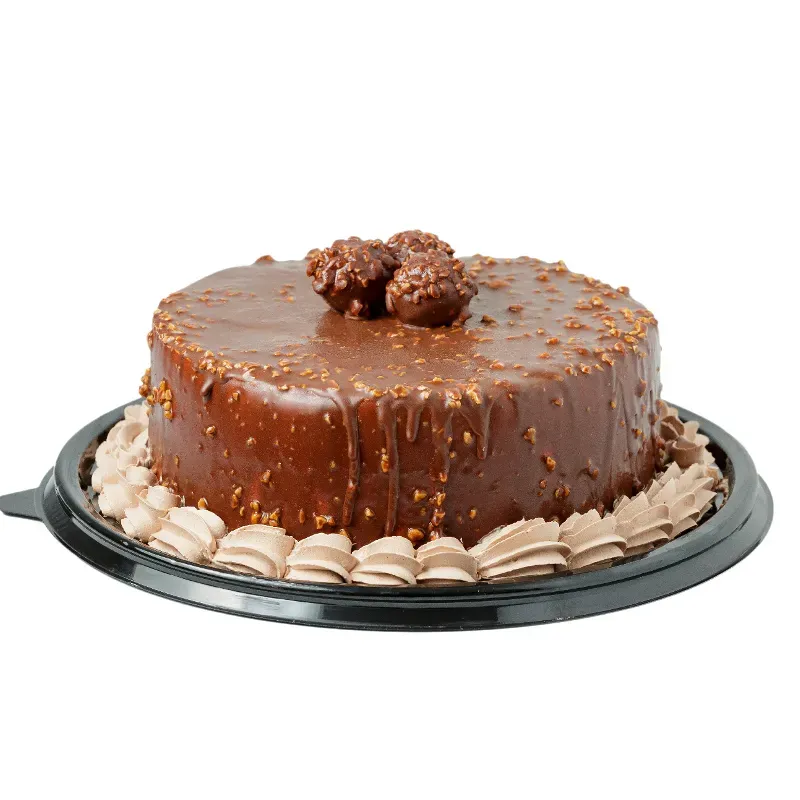 CAKE CRUJIENTE DE CHOCOLATE 