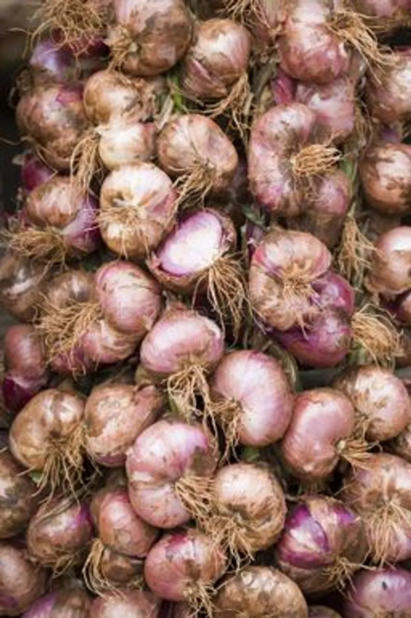 Pata de Cebolla