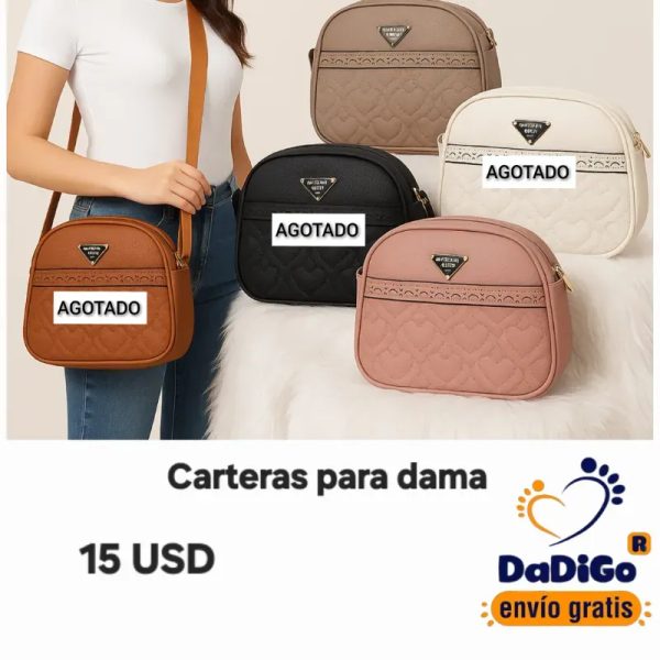 Carteras para dama 4