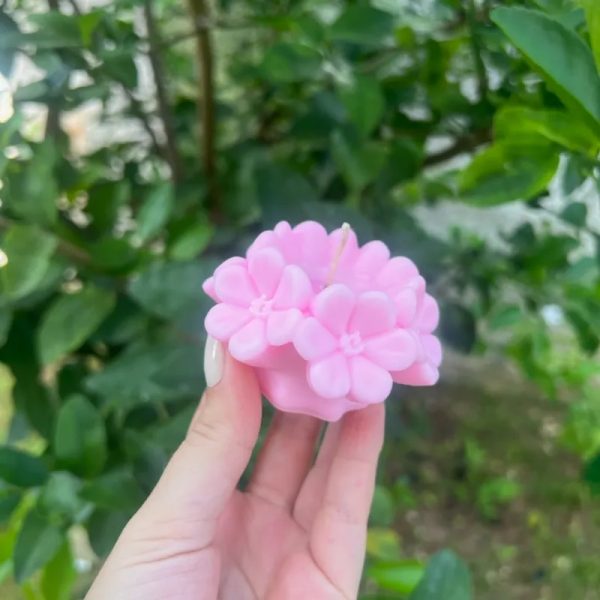 Flor de cerezo 
