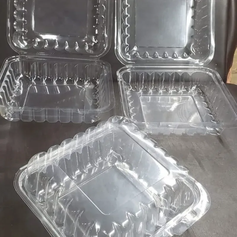 TERMOPACK 8X8 PLATICO