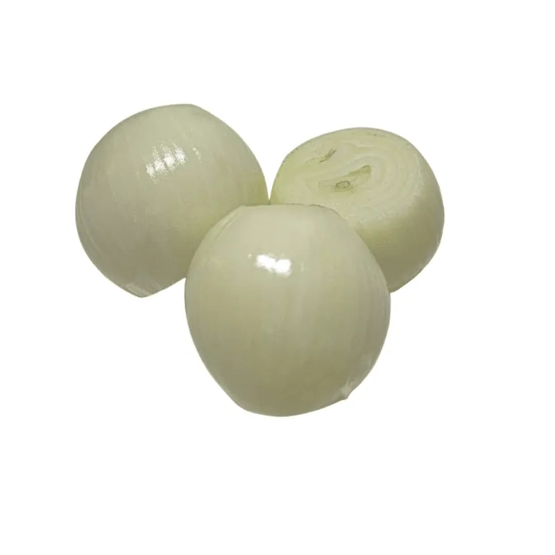 CEBOLLA