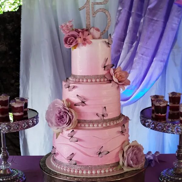 Rosado con mariposas para quinceañera