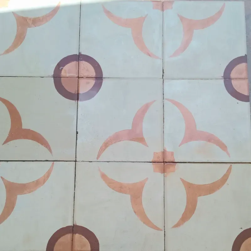 Flores color nude fondo blanco