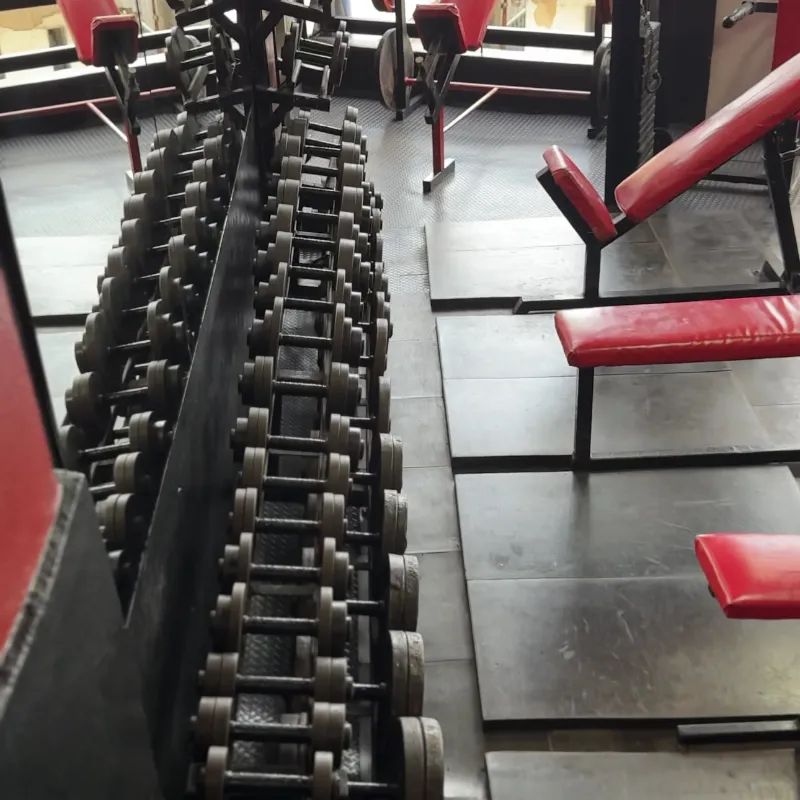 Musculación Tren superior 