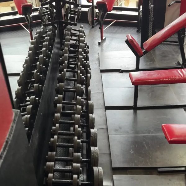 Musculación Tren superior 