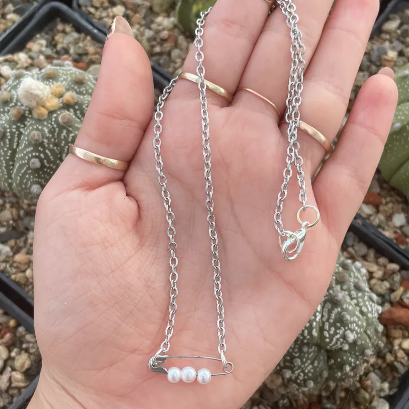 Collar de Acero Inoxidable