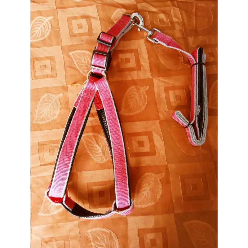 Perchera con correa para perros grandes