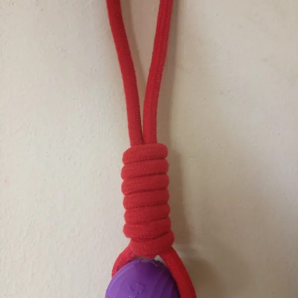 Juguete de cuerda