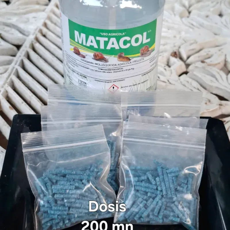 Matacaracol