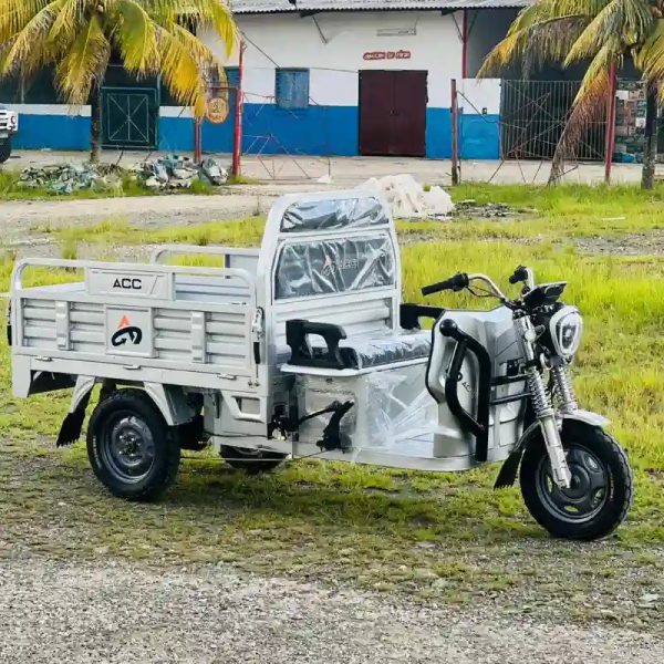 Triciclo eléctrico