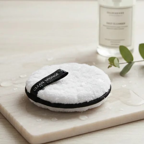 Clean Sponge