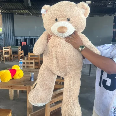 Peluche oso grande
