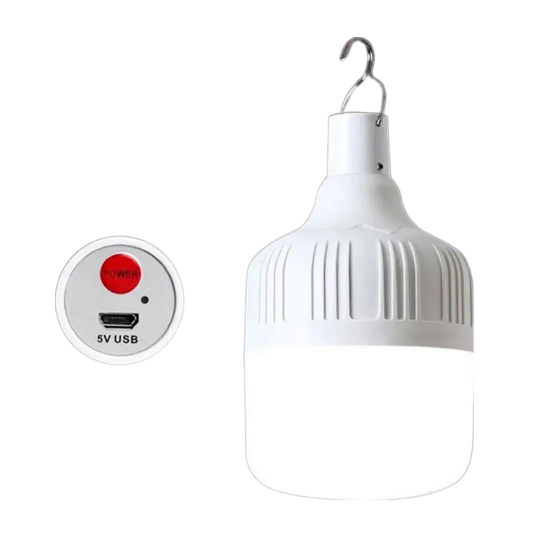 Foco Recargables 30W