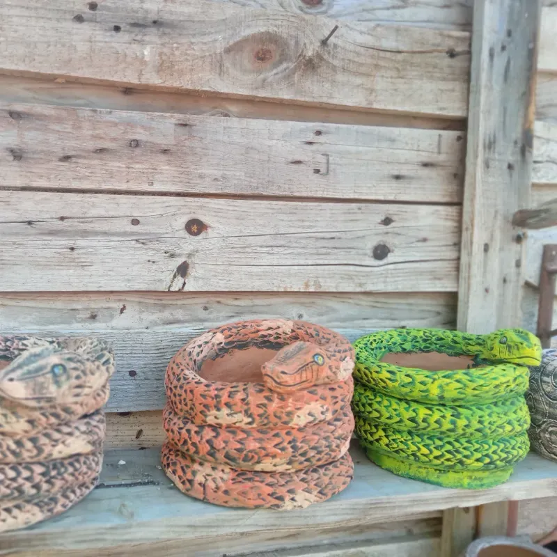 Maceta serpiente