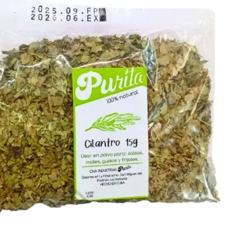 Cilantro
