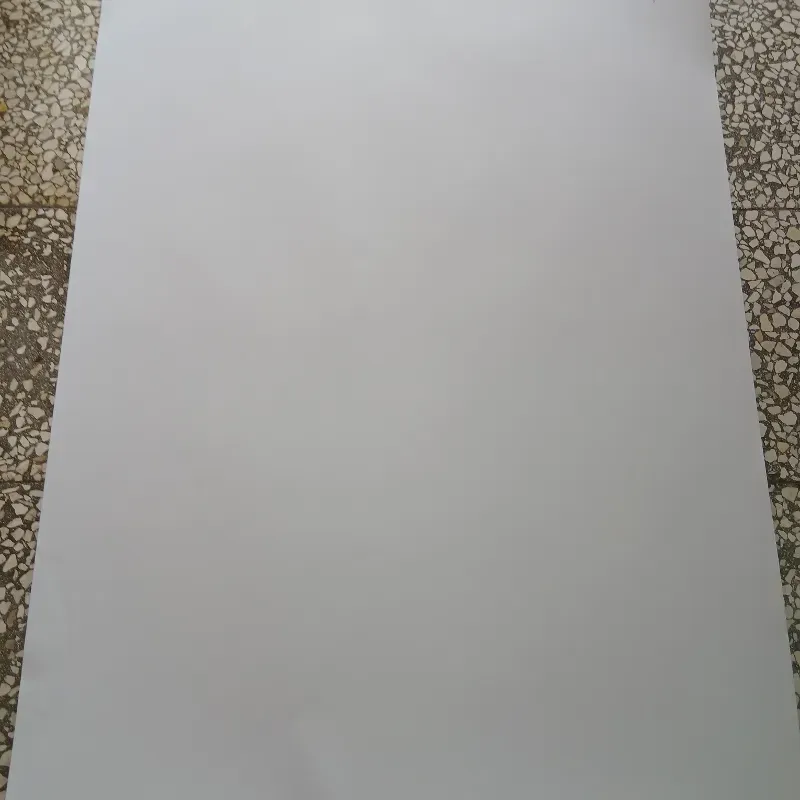 Cartulina Blanca para variadas manualidades