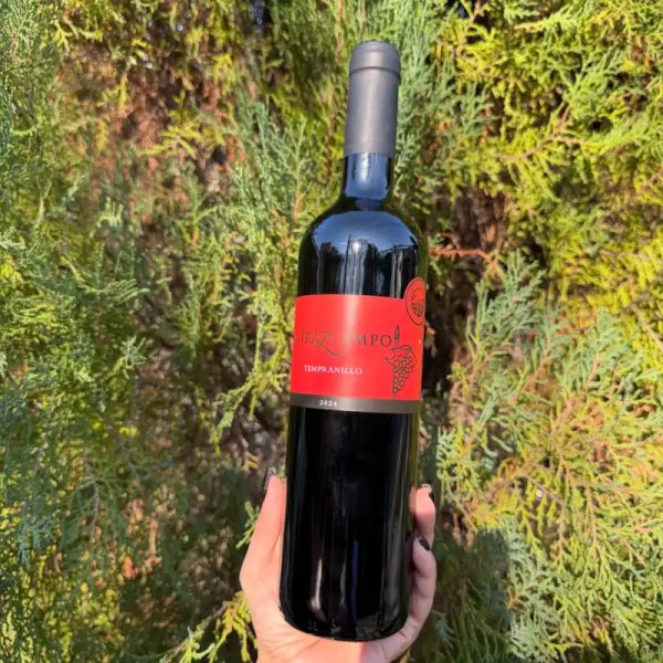 Vino Tempranillo