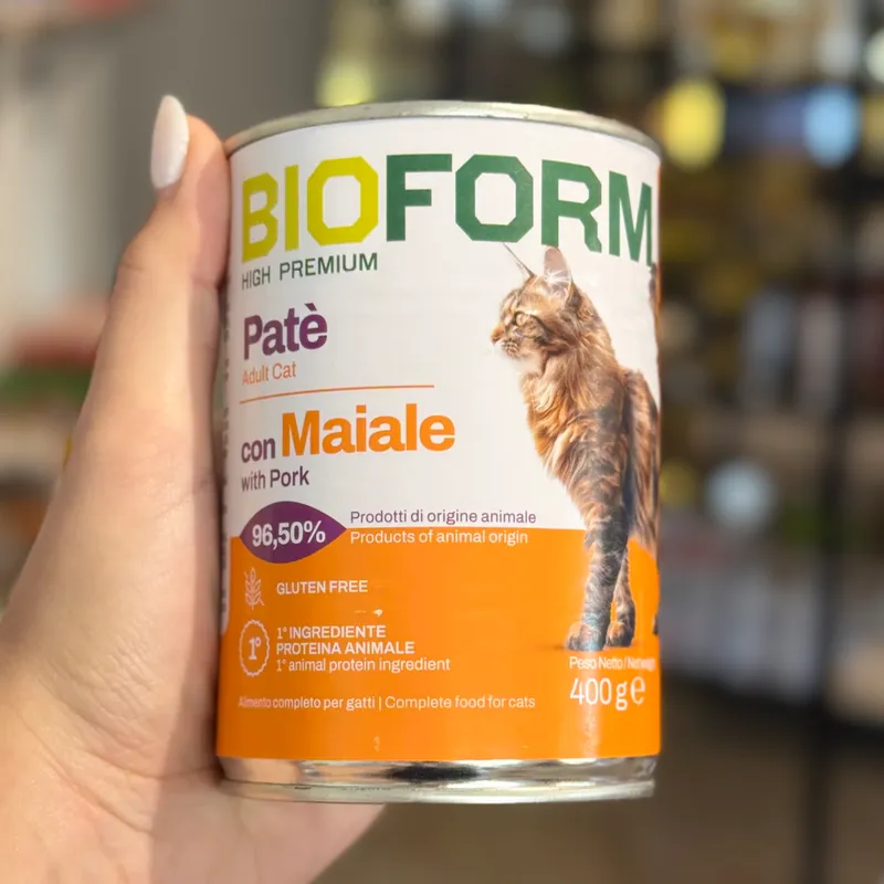 Paté de puerco para gatos