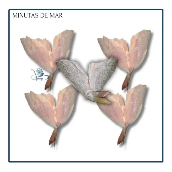 Minuta de Mar Grande (5u)
