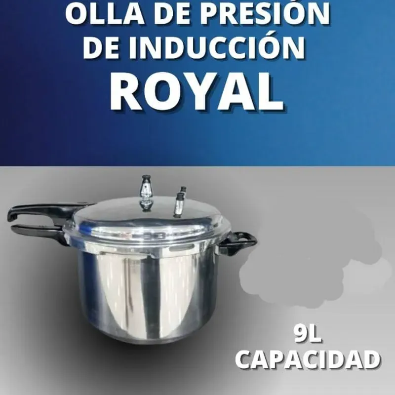 Olla presión inducción 9 lt