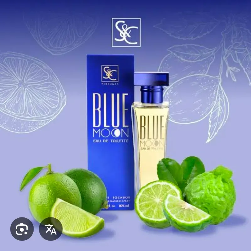 Perfume Blue Moon – 100 mL