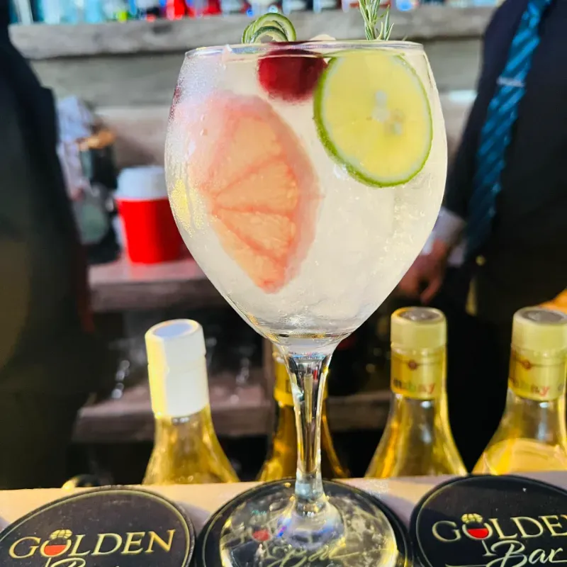 Gin Tonic con Ginebra  Tanqueray