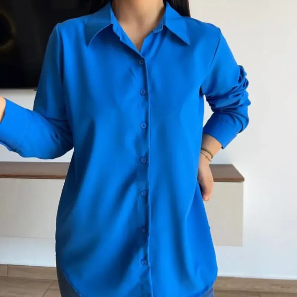 Blusa