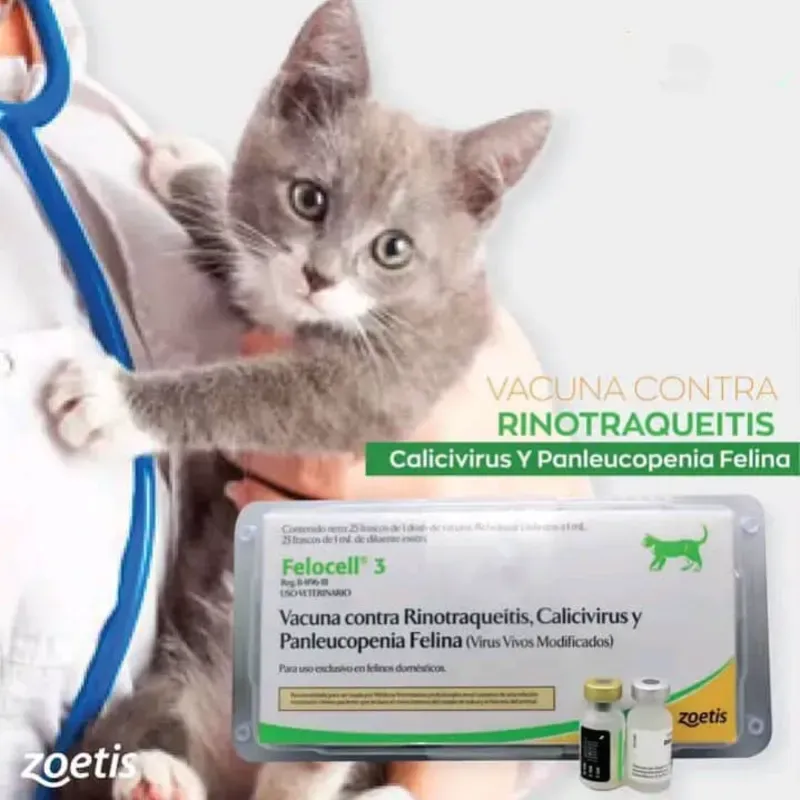 Vacuna Triple Felina FELOCELL 3 (PRECIO PARACOMPRAS A PARTIR DE 6 UNIDADES )