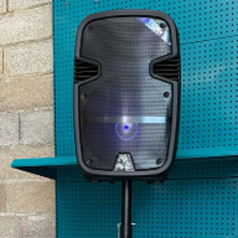 BOCINA DE MUSICA MARCA ROYAL, BT, MICROFONO, MANDO A DISTANCIA, TRÍPODE, 3000W, REF: RBT6113-12