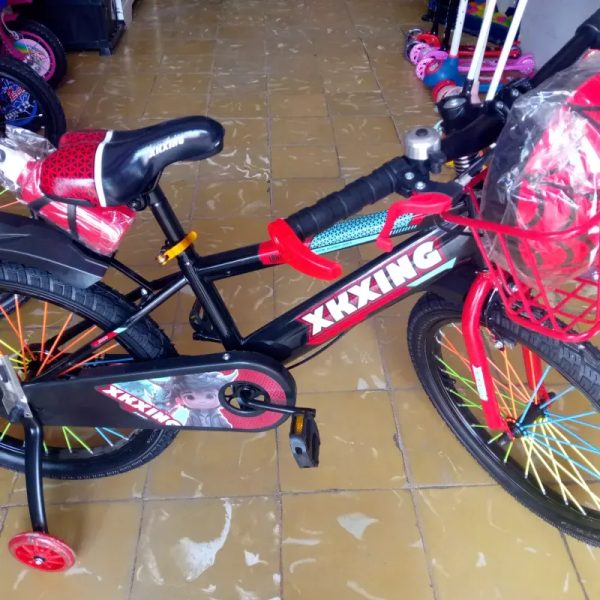 Bicicleta medida 20