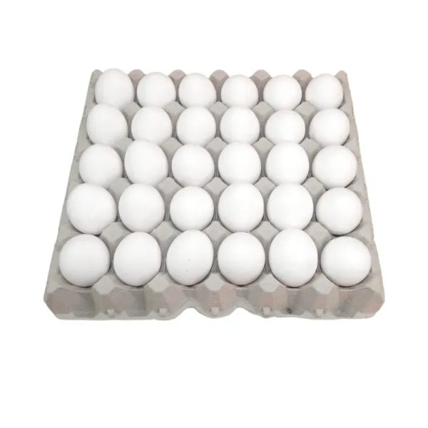 Huevos