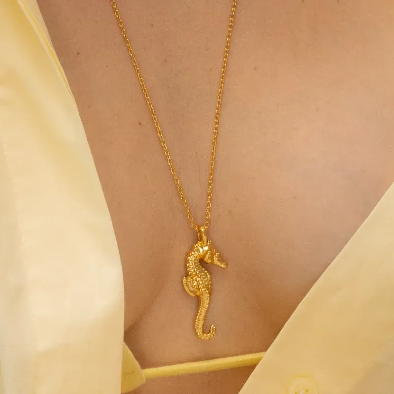 Set Collar Caballo de mar + aretes